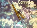 Carniolan Honey Ahab Flex Nib Fountain Pen by Noodler's Ink® [piston fill]