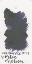 Vortex Motion Fountain Pen Bottled Ink_Astrophysics Series by Colorverse [65 ml & 15 ml bottle set]